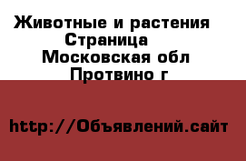  Животные и растения - Страница 6 . Московская обл.,Протвино г.